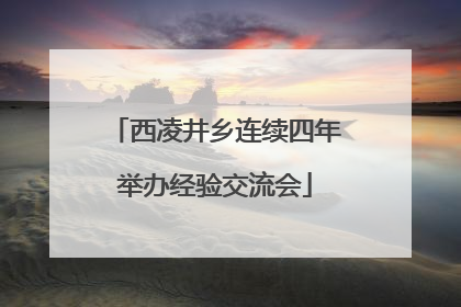 西凌井乡连续四年举办经验交流会